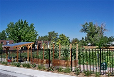 Berry Gardens Community Garden