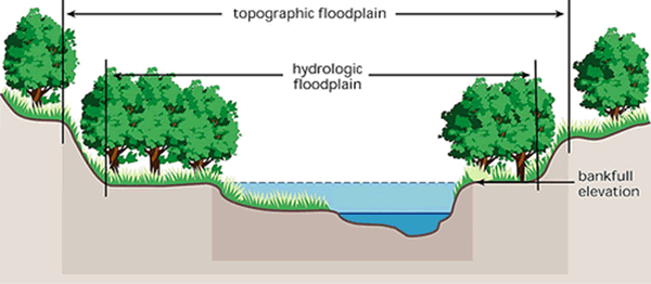 Floodplain function illustration
