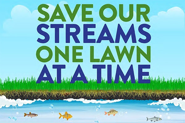 Save our streams one lawn at a time