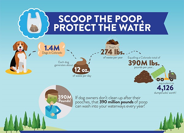 Scoop the poop protect the water