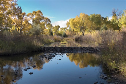 a river in the Littleton area